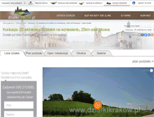 Tablet Screenshot of dzialkikrakow.pl